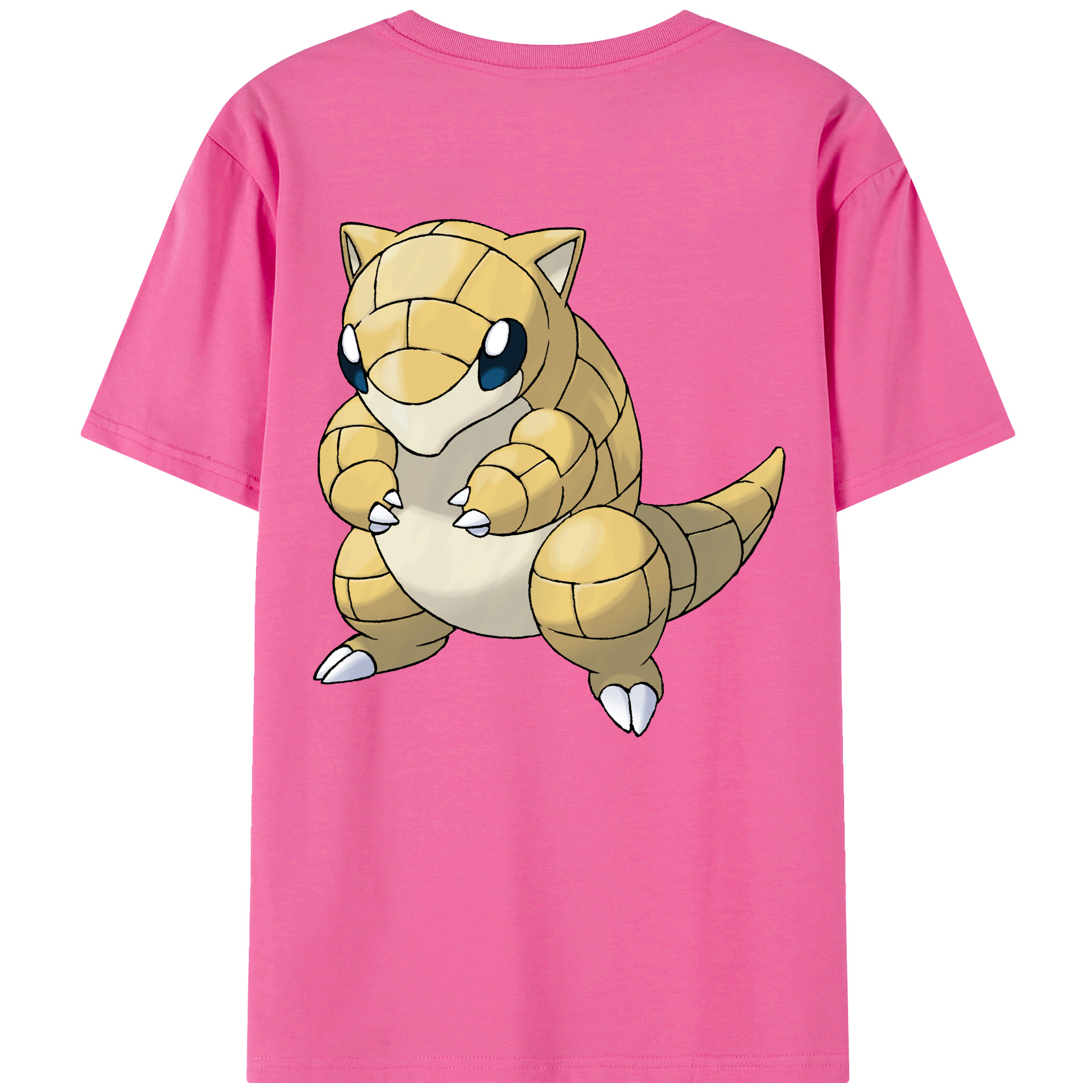 （画像用） ポケットモンスター Pokémon レディース半袖Tシャツ(バックプリント)